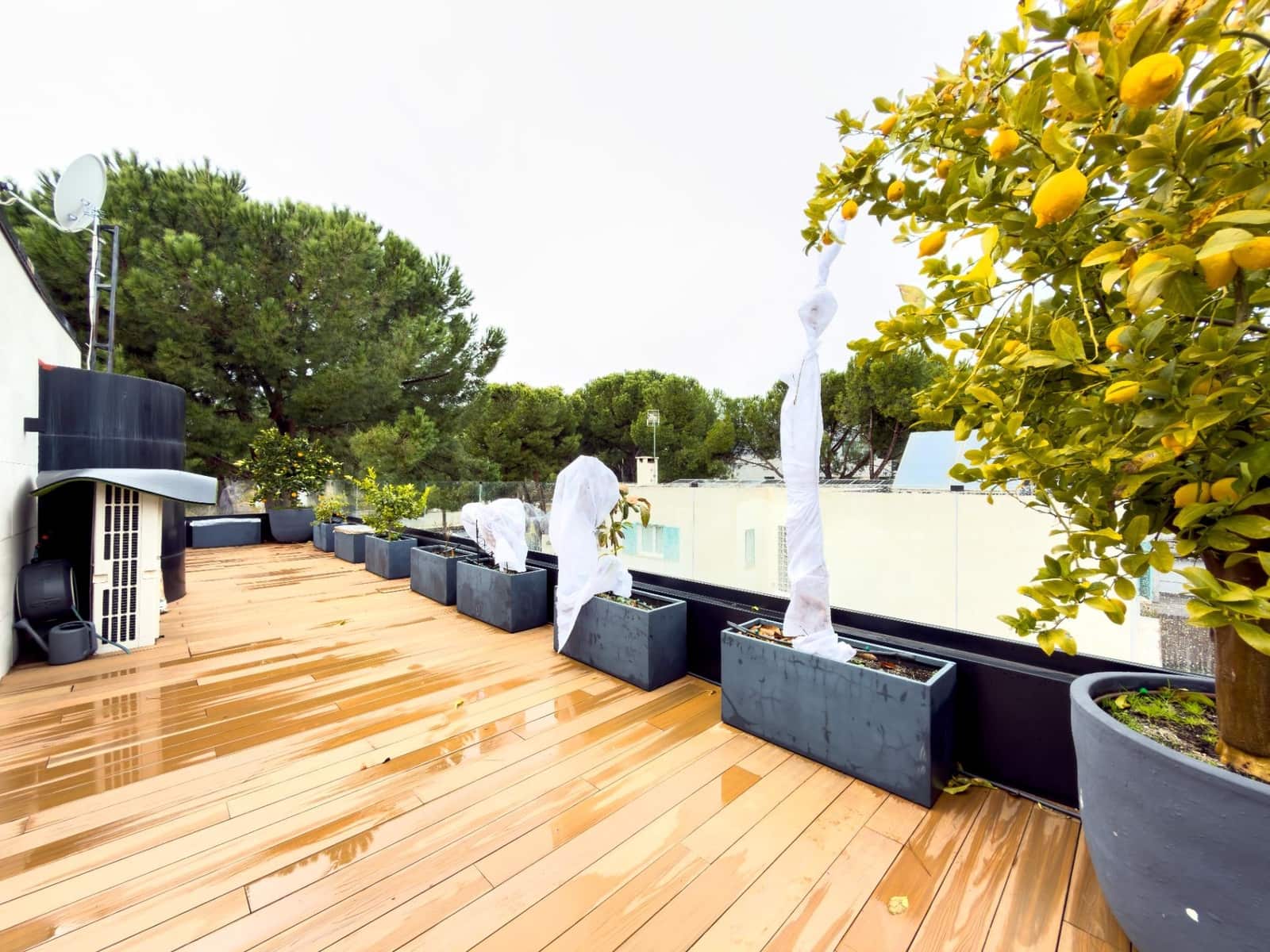 5 makuuhuone Huvila myytävänä paikassa Pozuelo de Alarcon mukana uima-altaan 
autotalli - 3 000 000 € (Ref: 9582943)