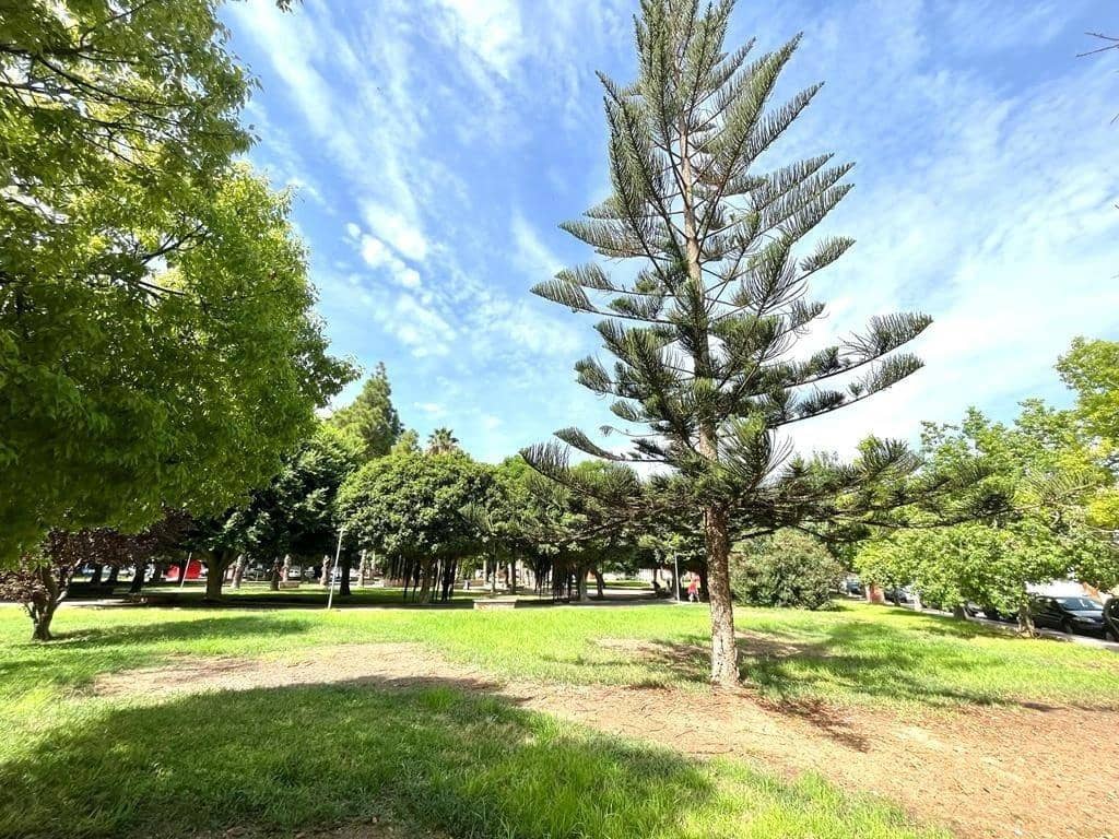 3 chambre Appartement à vendre à Torrevieja - 129 900 € (Ref: 9591284)