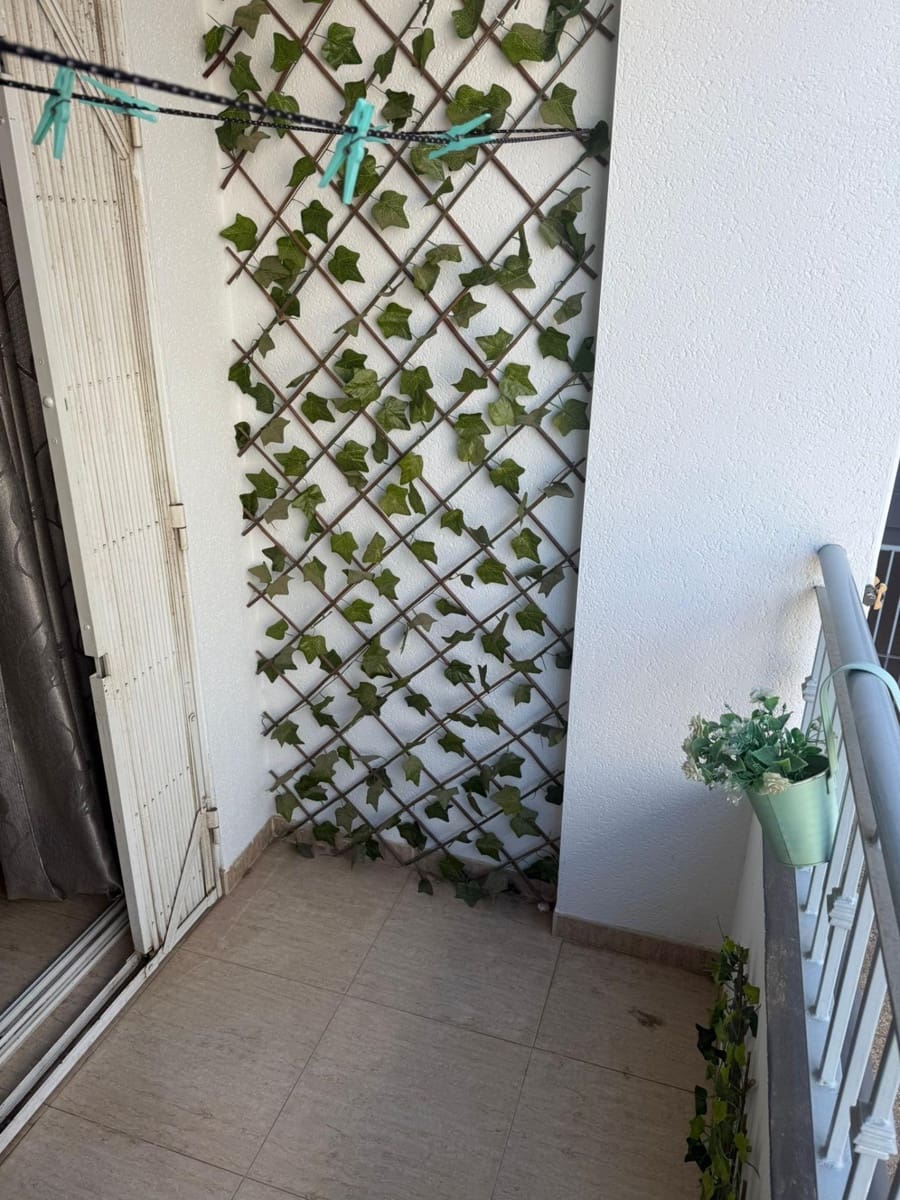 2 makuuhuone Huoneisto myytävänä paikassa Torrevieja mukana uima-altaan - 106 900 € (Ref: 9608066)