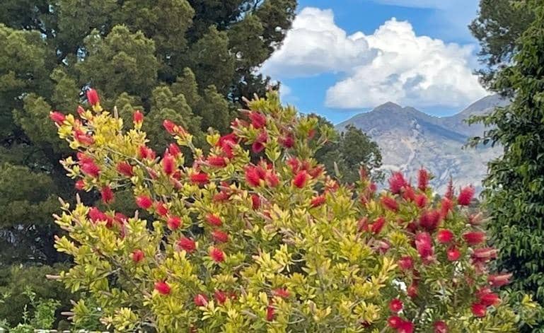 3 sypialnia Willa na sprzedaż w Polop z basenem - 540 000 € (Ref: 9619229)