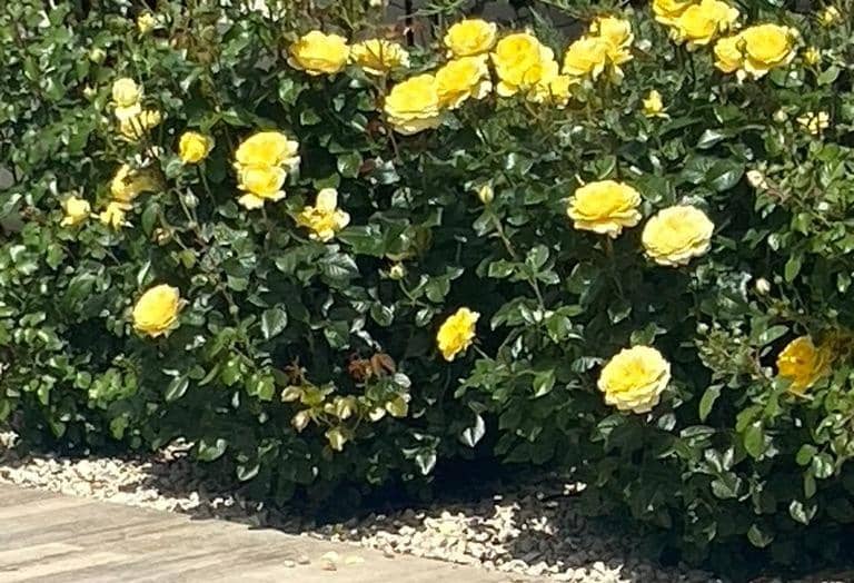 3 sypialnia Willa na sprzedaż w Polop z basenem - 540 000 € (Ref: 9619229)