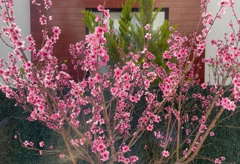 3 sypialnia Willa na sprzedaż w Polop z basenem - 540 000 € (Ref: 9619229)