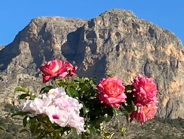 3 soveværelse Villa til salg i Polop med swimmingpool - € 540.000 (Ref: 9619229)