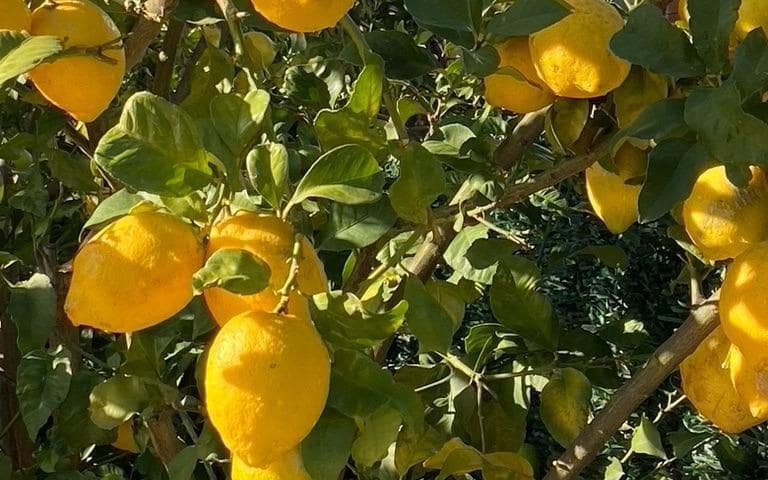 3 bedroom Villa for sale in Polop with pool - € 540,000 (Ref: 9619229)