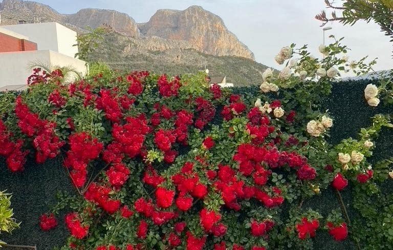 3 bedroom Villa for sale in Polop with pool - € 540,000 (Ref: 9619229)