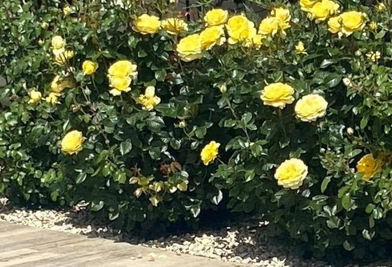 3 bedroom Villa for sale in Polop with pool - € 540,000 (Ref: 9619229)