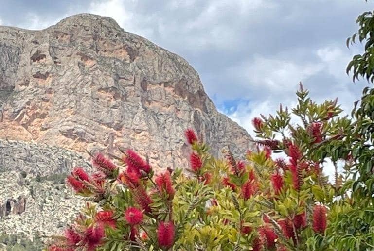 3 bedroom Villa for sale in Polop with pool - € 540,000 (Ref: 9619229)