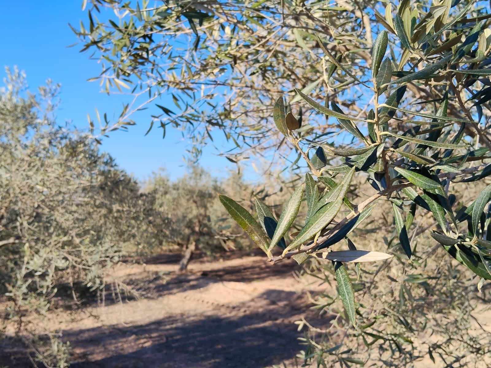 4 makuuhuone Maalaistalo myytävänä paikassa Las Bayas - 365 000 € (Ref: 9634260)