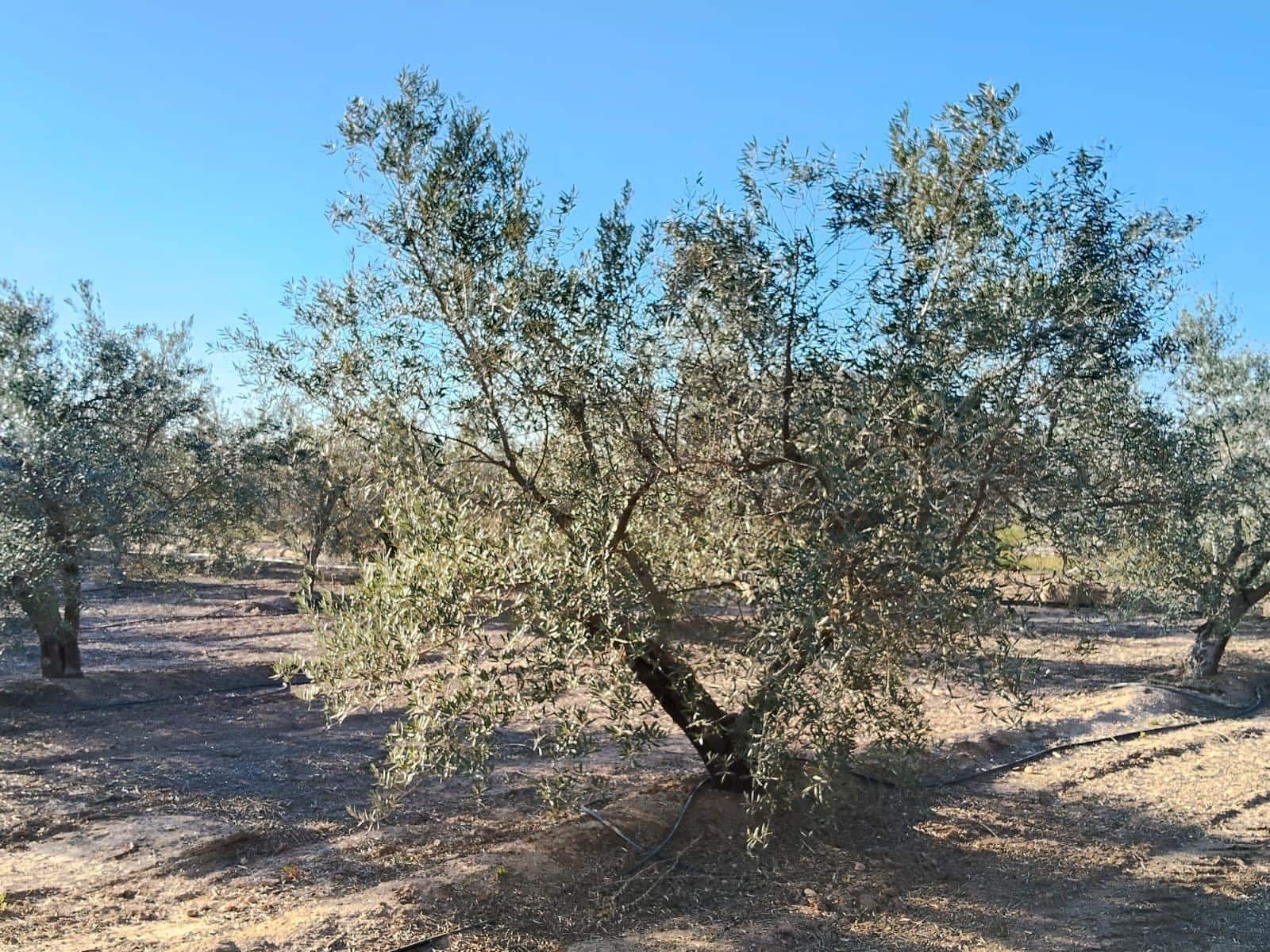 4 makuuhuone Maalaistalo myytävänä paikassa Las Bayas - 365 000 € (Ref: 9634260)