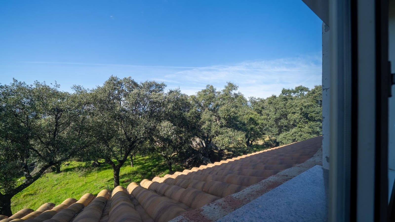 8 sypialnia Finka/Dom wiejski na sprzedaż w Colmenarejo z basenem - 1 790 000 € (Ref: 9645019)