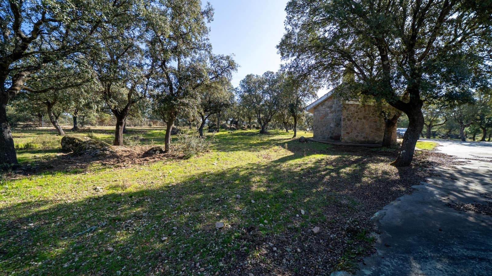 8 sypialnia Finka/Dom wiejski na sprzedaż w Colmenarejo z basenem - 1 790 000 € (Ref: 9645019)