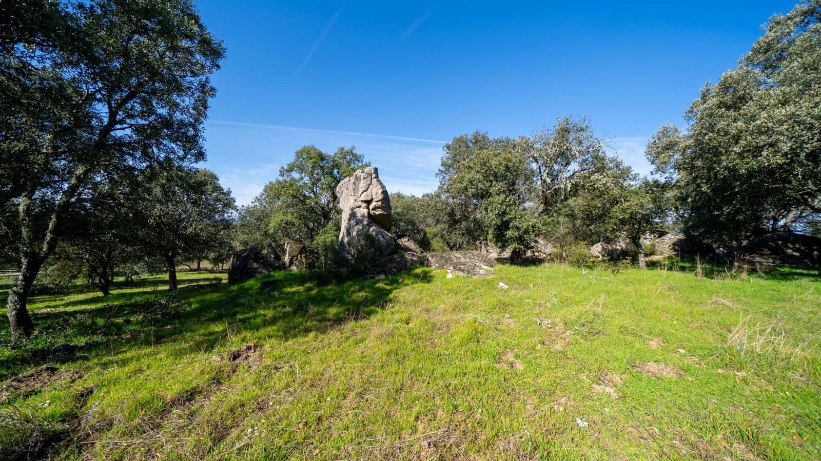 8 bedroom Finca/Country House for sale in Colmenarejo with pool - € 1,790,000 (Ref: 9645019)