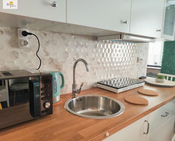 4 slaapkamer Hotel te koop in Alicante stad - € 485.000 (Ref: 9674216)