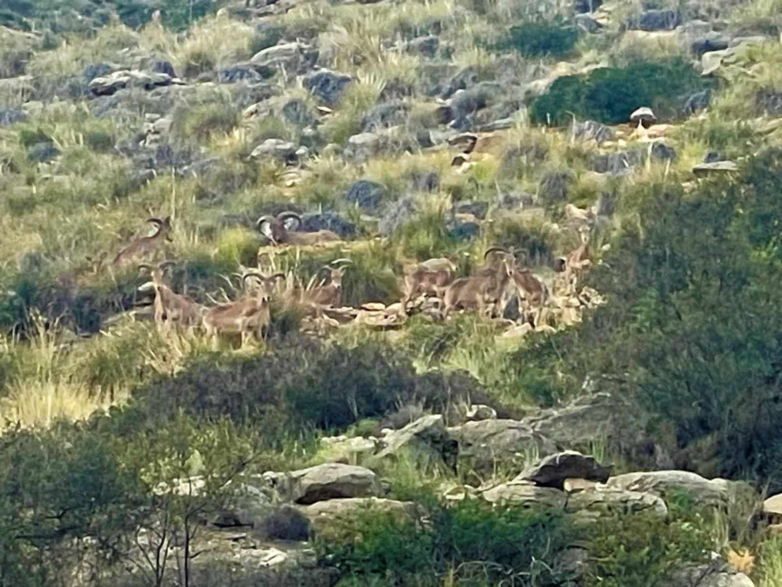 3 chambre Penthouse à vendre à Finestrat avec piscine garage - 465 000 € (Ref: 9711972)