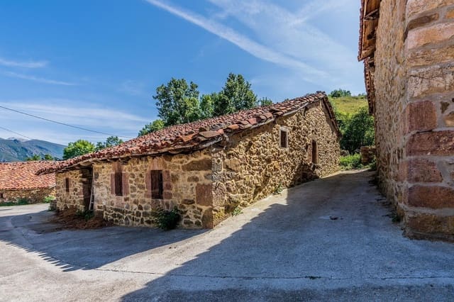 Finca/Landgut zu verkaufen in Teverga - 80.000 € (Ref: 9755686)