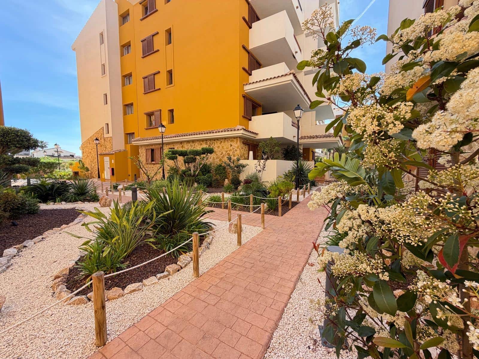 2 chambre Penthouse à vendre à Punta Prima avec piscine - 339 900 € (Ref: 9782987)