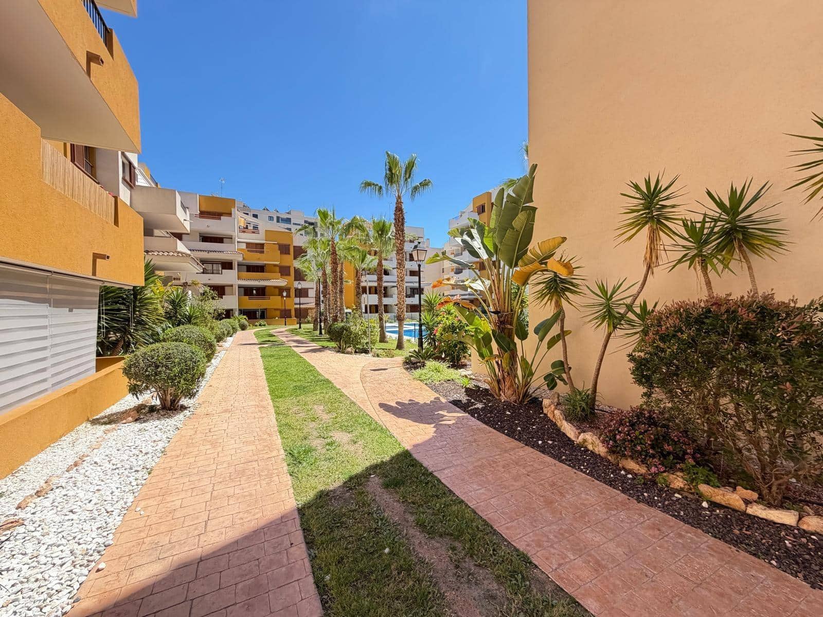 3 chambre Appartement à vendre à Punta Prima avec piscine garage - 289 000 € (Ref: 9782991)