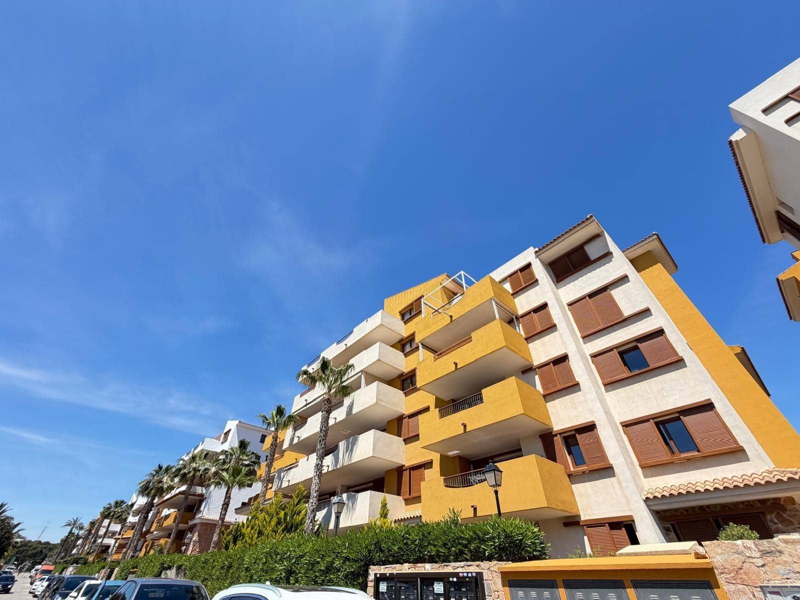 3 chambre Appartement à vendre à Punta Prima avec piscine garage - 289 000 € (Ref: 9782991)