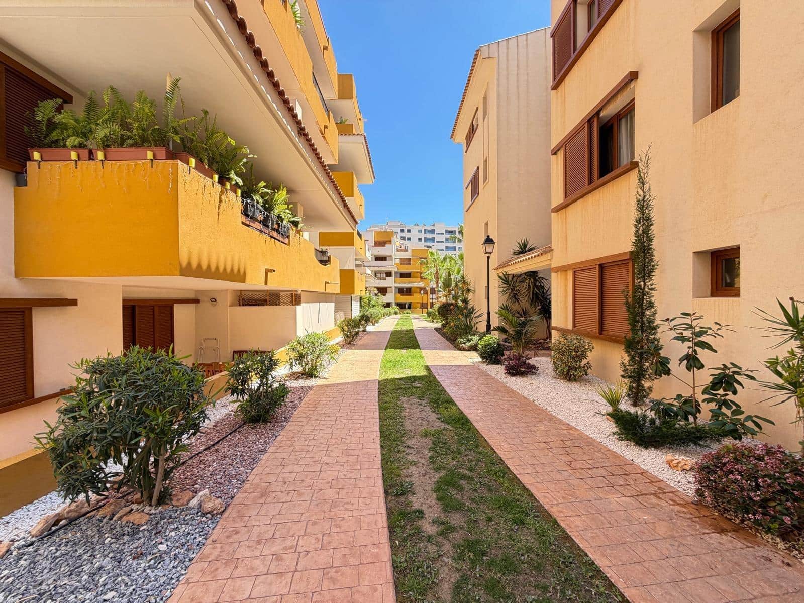 3 chambre Appartement à vendre à Punta Prima avec piscine garage - 289 000 € (Ref: 9782991)