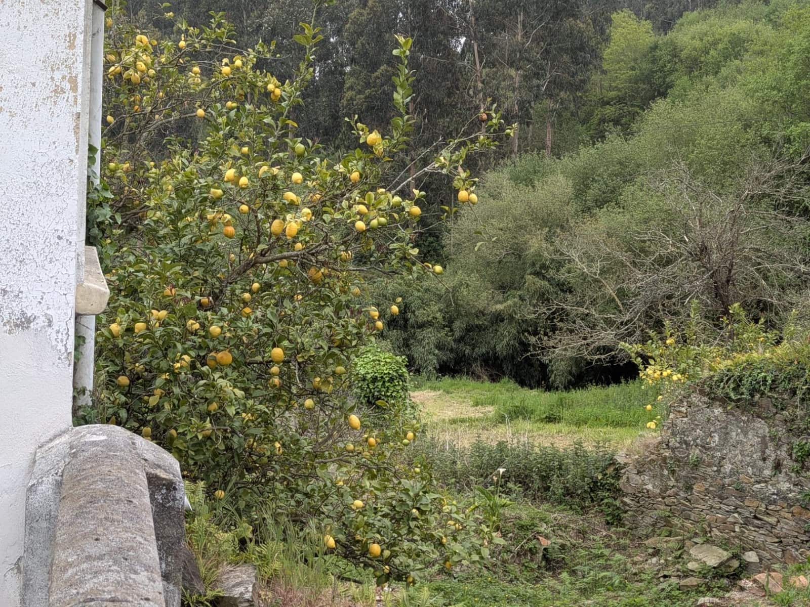 2 soveværelse Finca/Landehus til salg i Cudillero - € 159.900 (Ref: 9799260)