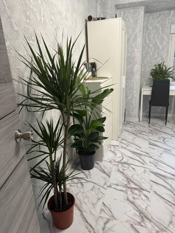 5 sypialnia Mieszkanie na sprzedaż w Mislata - 225 000 € (Ref: 9806476)