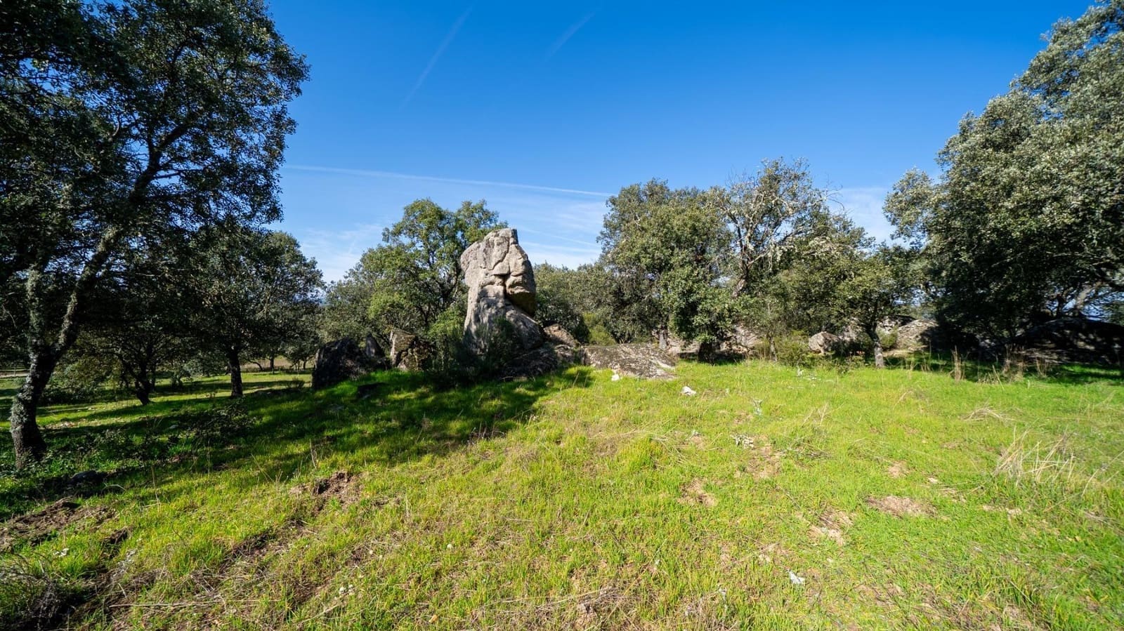 Finca/Casa Rural de 8 habitaciones en Colmenarejo en venta con piscina garaje - 1.595.000 € (Ref: 9913177)