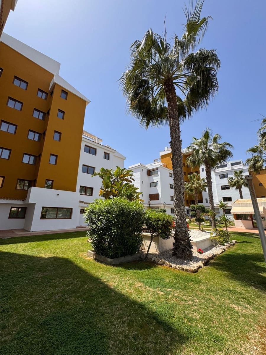2 chambre Appartement à vendre à Punta Prima avec piscine - 280 000 € (Ref: 9947915)