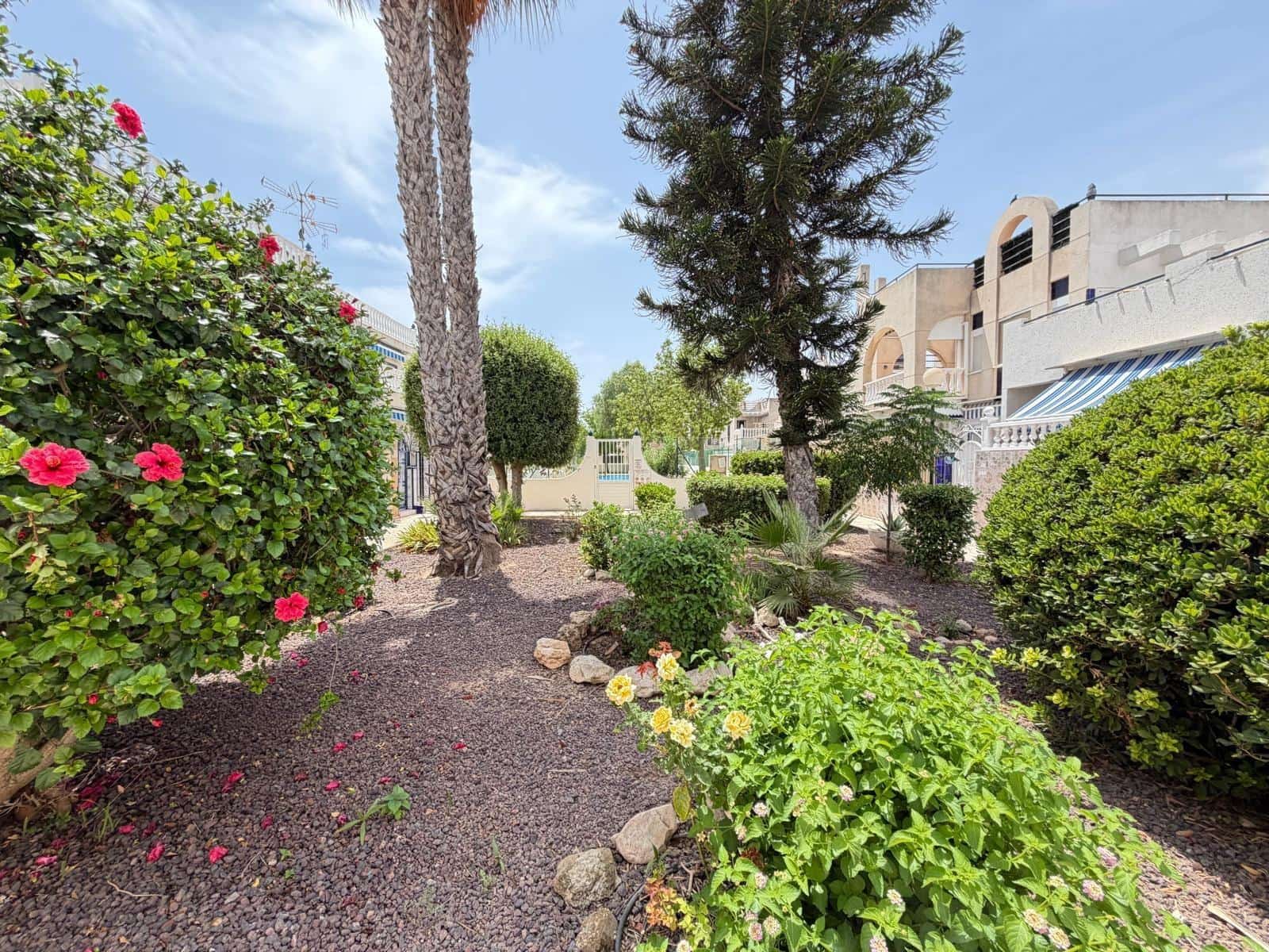 2 makuuhuone Rivitalo myytävänä paikassa Torrevieja mukana uima-altaan - 155 000 € (Ref: 9997135)