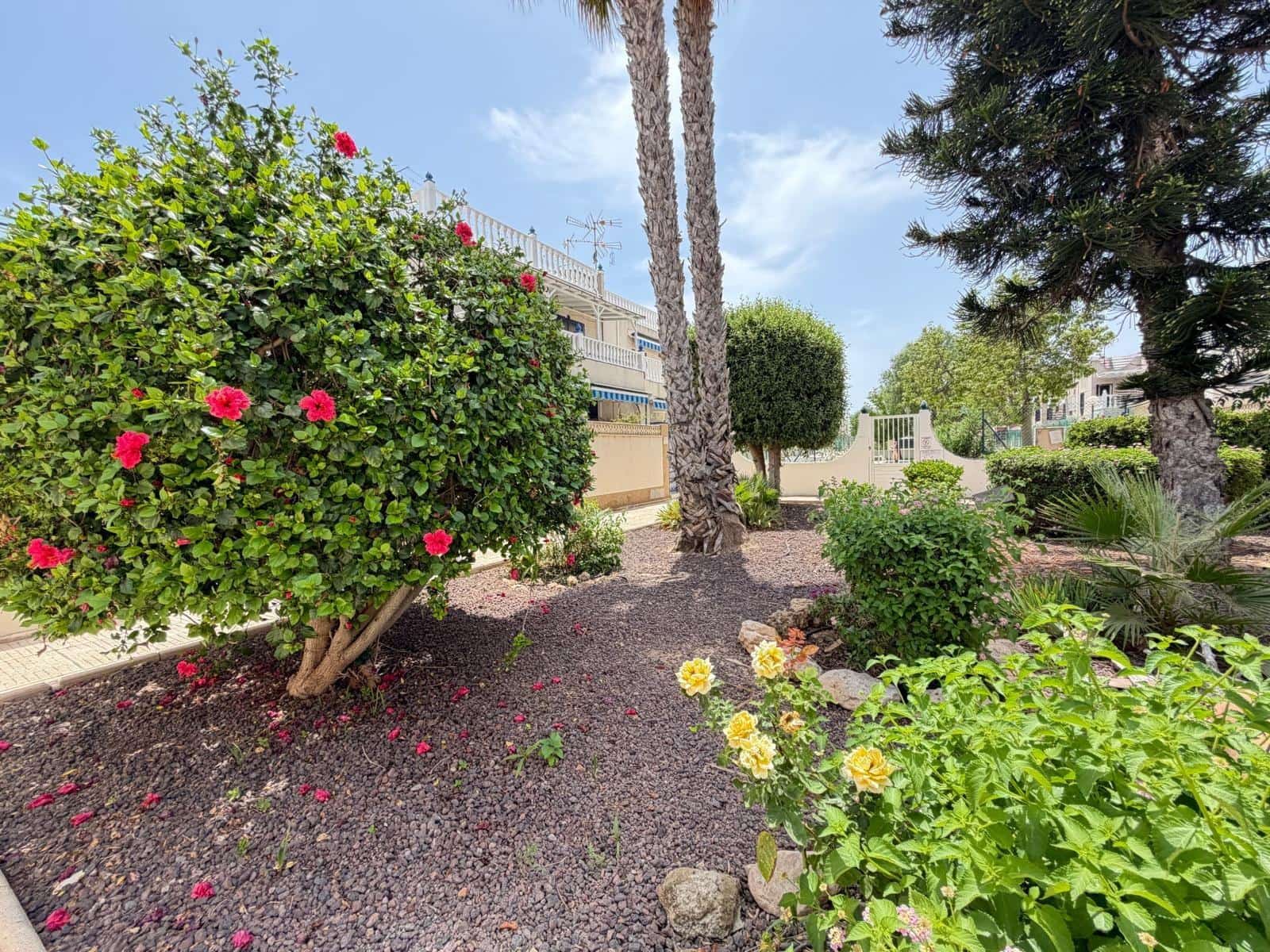 2 makuuhuone Rivitalo myytävänä paikassa Torrevieja mukana uima-altaan - 155 000 € (Ref: 9997135)
