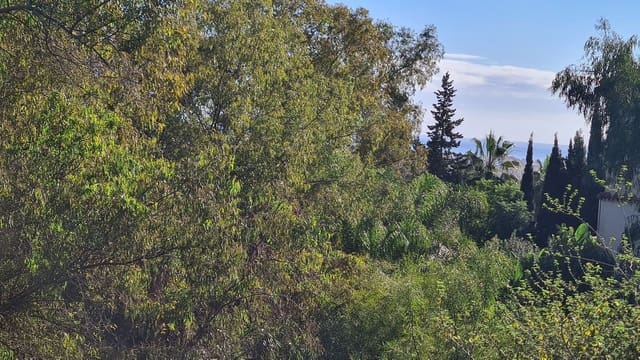 Tontti myytävänä paikassa Mijas pueblo, Mijas - 190 000 € (Ref: 9141165)