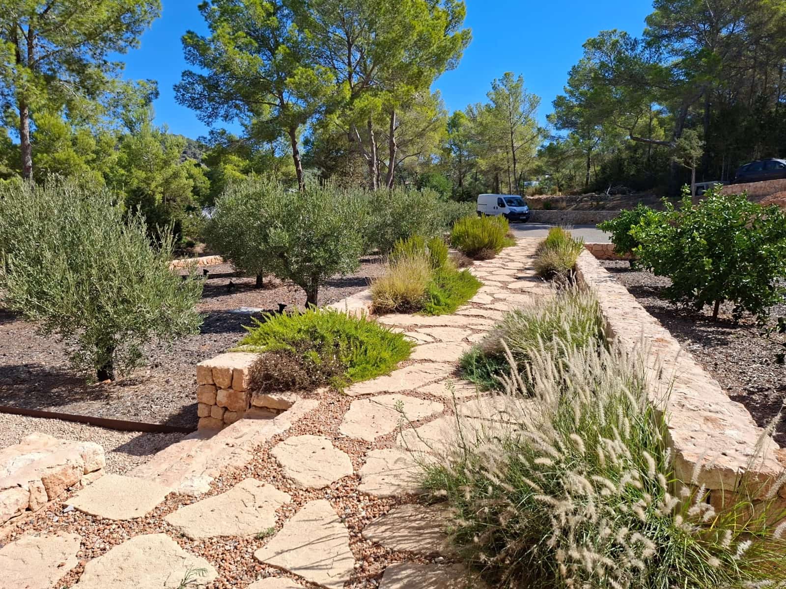 4 soveværelse Hulehus til salg i Cala Tarida med swimmingpool garage - € 6.590.000 (Ref: 10086588)