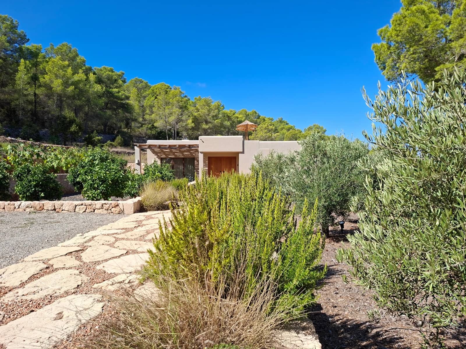 4 soveværelse Hulehus til salg i Cala Tarida med swimmingpool garage - € 6.590.000 (Ref: 10086588)