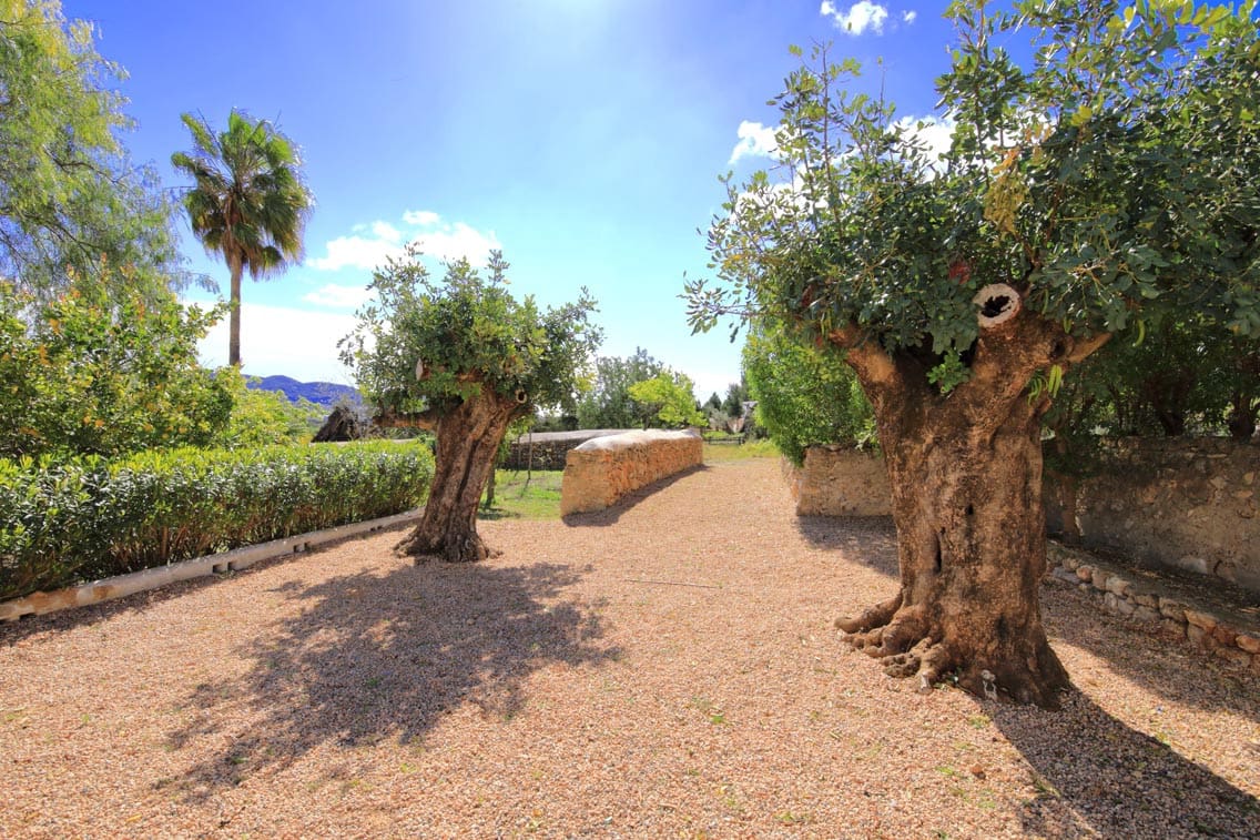 6 soveværelse Finca/Landehus til salg i Sant Rafael de Sa Creu med swimmingpool garage - € 4.200.000 (Ref: 9196309)