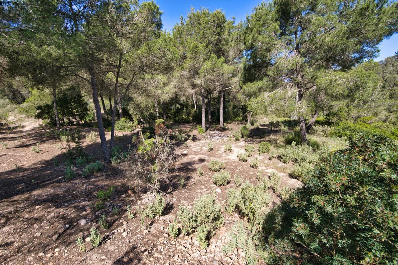 7 soveværelse Bungalow til salg i Cala Vadella med swimmingpool garage - € 7.400.000 (Ref: 9199420)