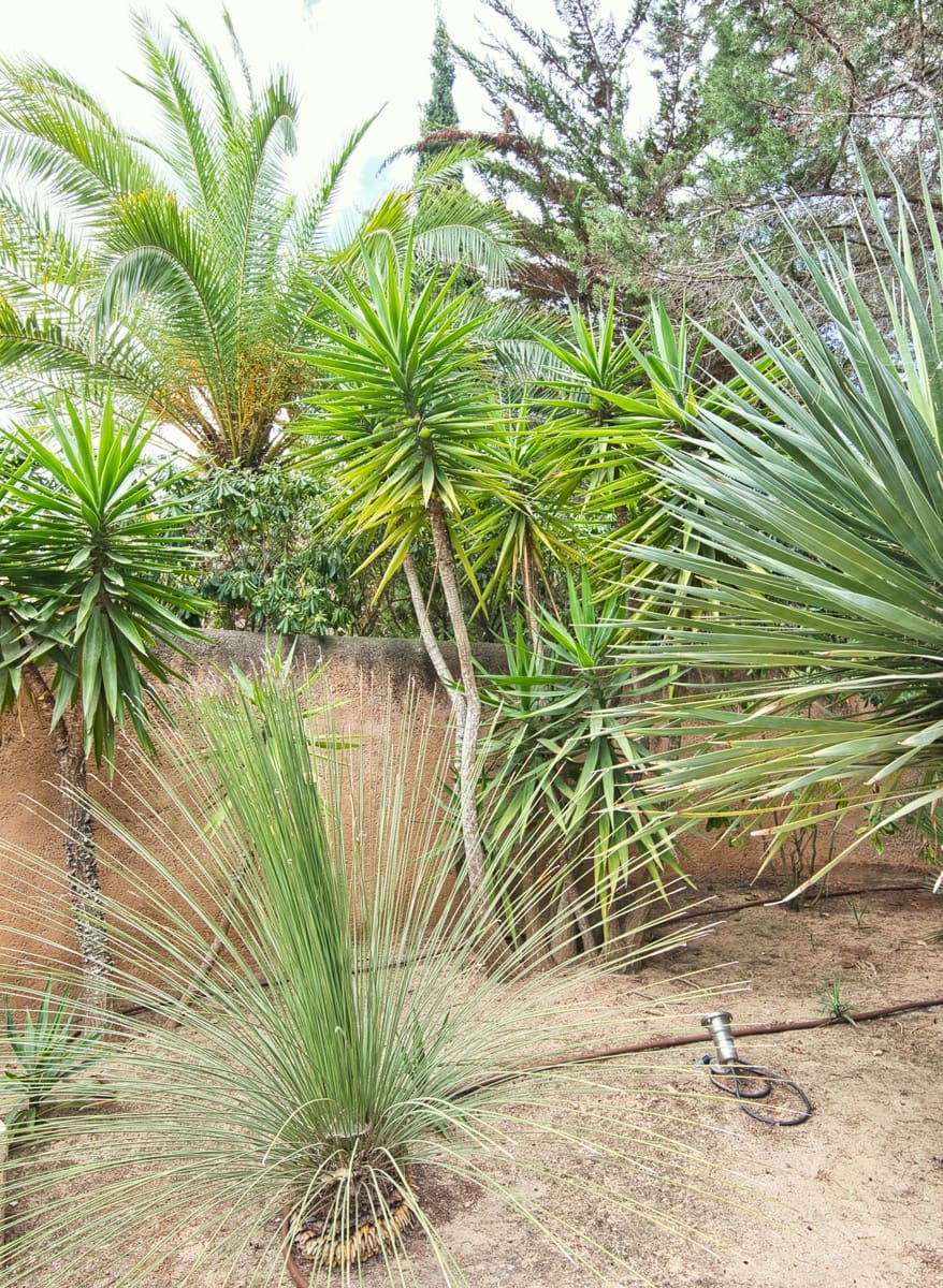 5 soverom Villa til salgs i San Jose / Sant Josep de Sa Talaia med svømmebasseng garasje - € 3 590 000 (Ref: 9206928)