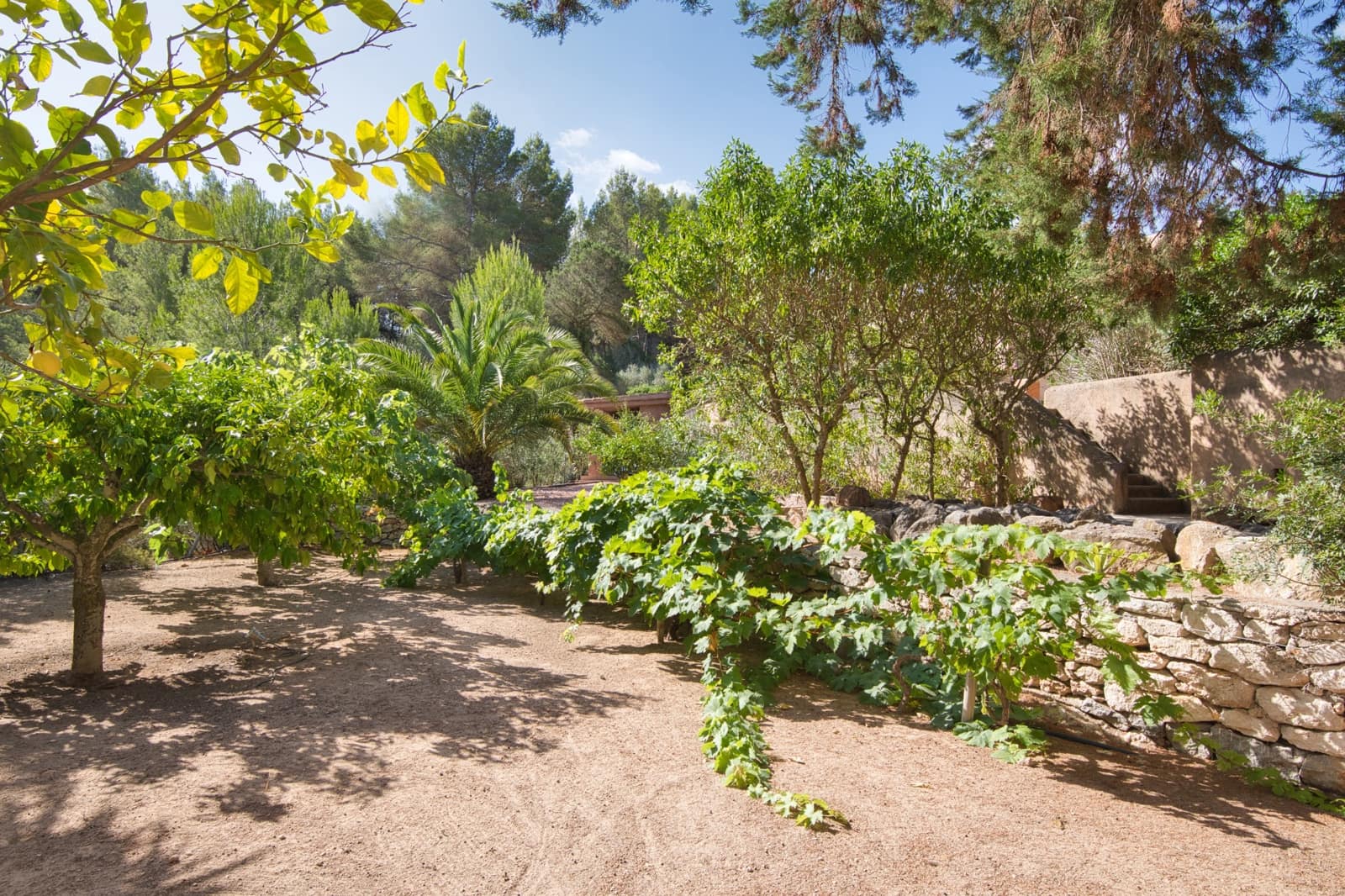 5 soverom Villa til salgs i San Jose / Sant Josep de Sa Talaia med svømmebasseng garasje - € 3 590 000 (Ref: 9206928)