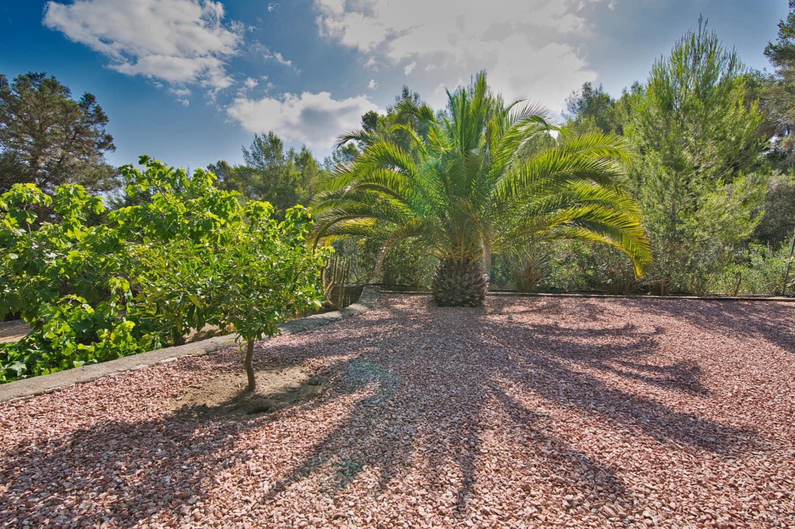 5 soverom Villa til salgs i San Jose / Sant Josep de Sa Talaia med svømmebasseng garasje - € 3 590 000 (Ref: 9206928)