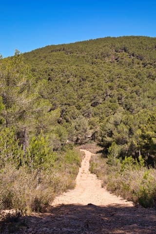 3 soveværelse Finca/Landehus til salg i San Miguel / Sant Miquel de Balansat, Sant Joan de Labritja med garage - € 4.660.000 (Ref: 9227415)