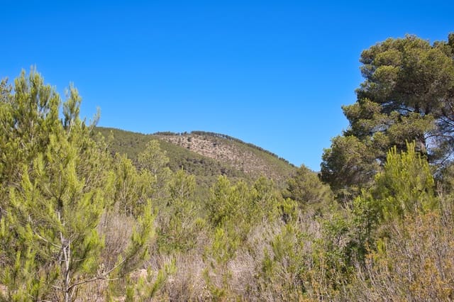 3 soveværelse Finca/Landehus til salg i San Miguel / Sant Miquel de Balansat, Sant Joan de Labritja med garage - € 4.660.000 (Ref: 9227415)