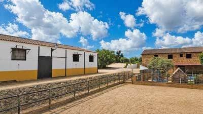 Finca/Casa Rural de 4 habitaciones en Arcos de la Frontera en venta con piscina - 650.000 € (Ref: 10091384)