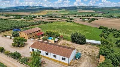 Finca/Casa Rural de 4 habitaciones en Arcos de la Frontera en venta con piscina - 650.000 € (Ref: 10091384)