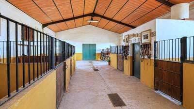 Finca/Casa Rural de 4 habitaciones en Arcos de la Frontera en venta con piscina - 650.000 € (Ref: 10091384)