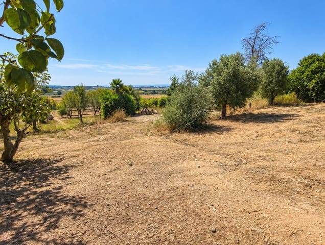 Finca/Casa Rural de 3 habitaciones en Chiclana de la Frontera en venta con piscina - 490.000 € (Ref: 10132952)