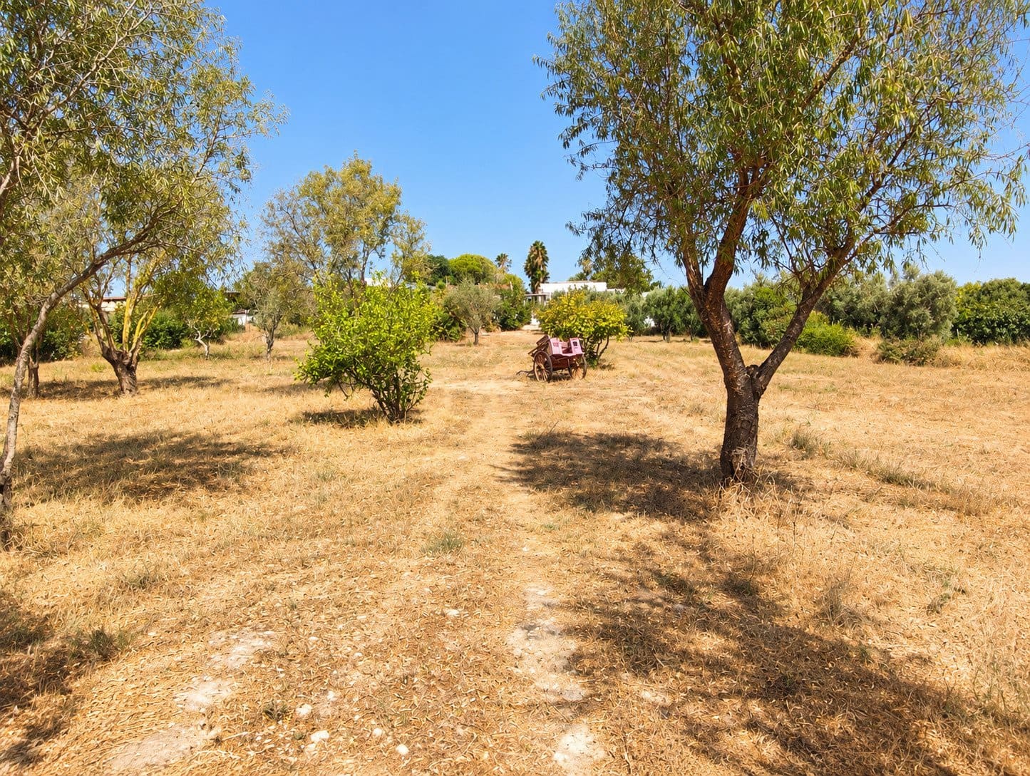Finca/Casa Rural de 3 habitaciones en Chiclana de la Frontera en venta con piscina - 490.000 € (Ref: 10132952)