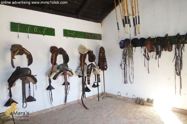 6 bedroom Finca/Country House for sale in Coria del Río with pool - € 1,300,000 (Ref: 4956443)