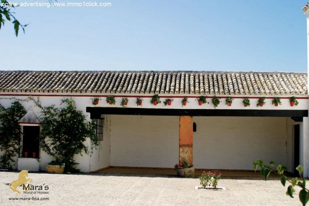 6 soveværelse Finca/Landehus til salg i Coria del Rio med swimmingpool - € 1.300.000 (Ref: 4956443)