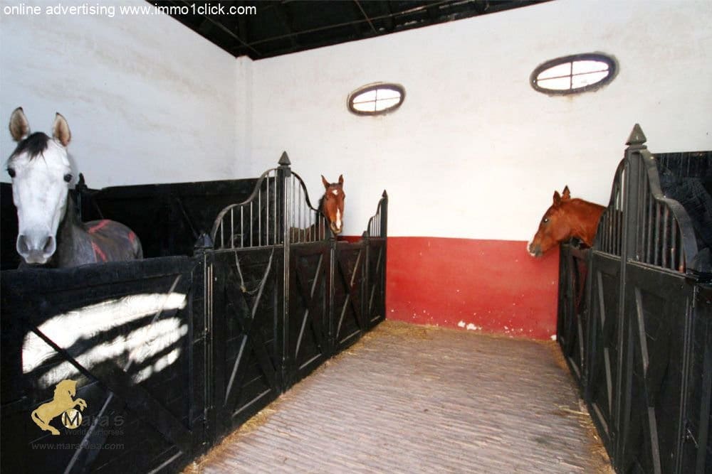 6 soveværelse Finca/Landehus til salg i Coria del Rio med swimmingpool - € 1.300.000 (Ref: 4956443)