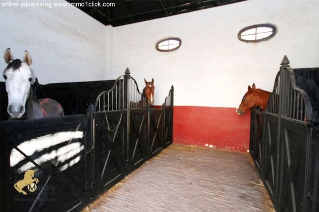 6 bedroom Finca/Country House for sale in Coria del Río with pool - € 1,300,000 (Ref: 4956443)