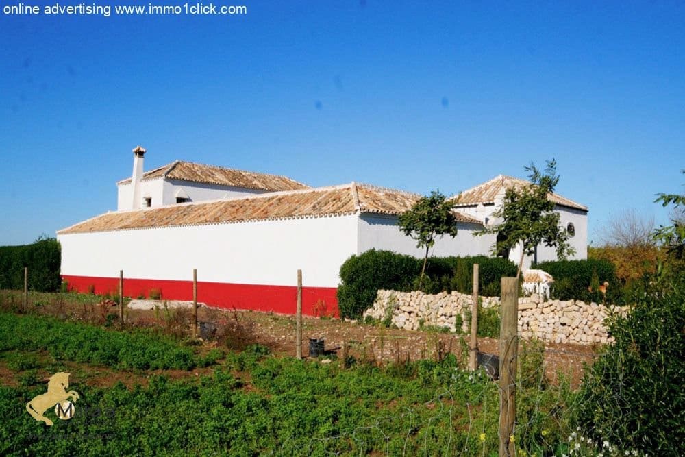 6 soveværelse Finca/Landehus til salg i Coria del Rio med swimmingpool - € 1.300.000 (Ref: 4956443)