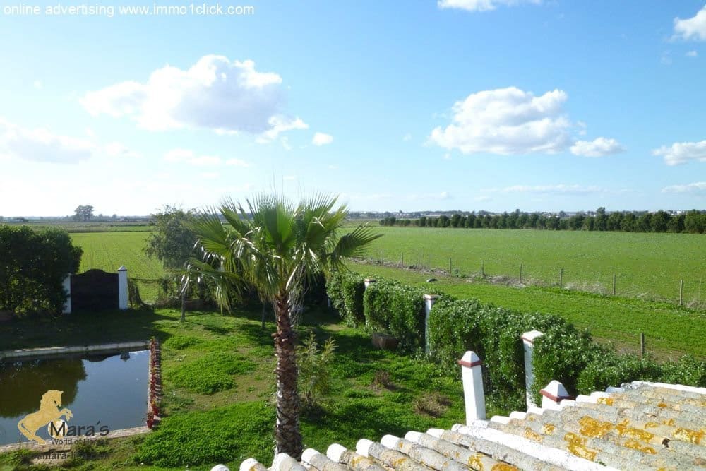 6 soveværelse Finca/Landehus til salg i Coria del Rio med swimmingpool - € 1.300.000 (Ref: 4956443)